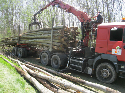 Chataignier-en-Grume-–-Camion-de-50-Steres-Chauffage-Abondant-et-Local (2)